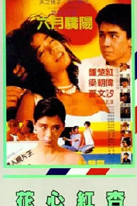 精品在线一区
