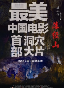 性视频网