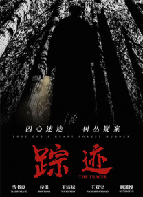 久久亚洲精品中文字幕二区