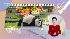 欧美一级毛片高清免费观看